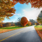 105086__road-autumn-landscape_p